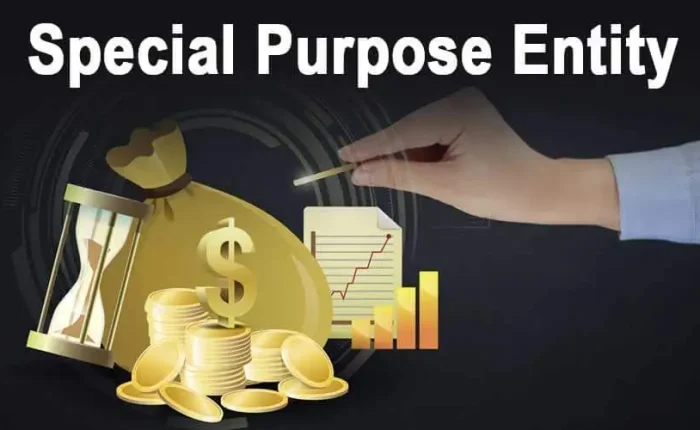 Special-Purpose-Entity